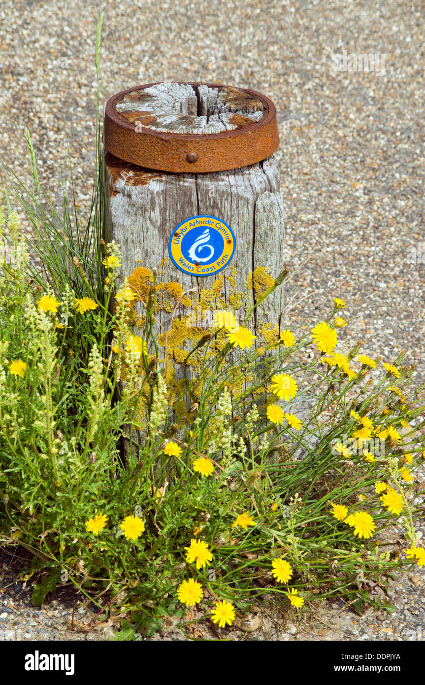 Millennium Coastal Path sign, Llanelli, Carmartenshire, West Wales. Stock Photo
