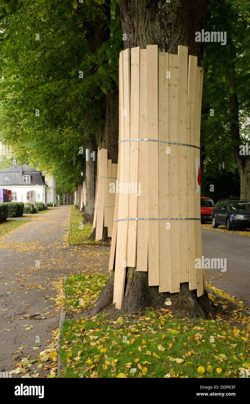 Protected trees Stock Photo