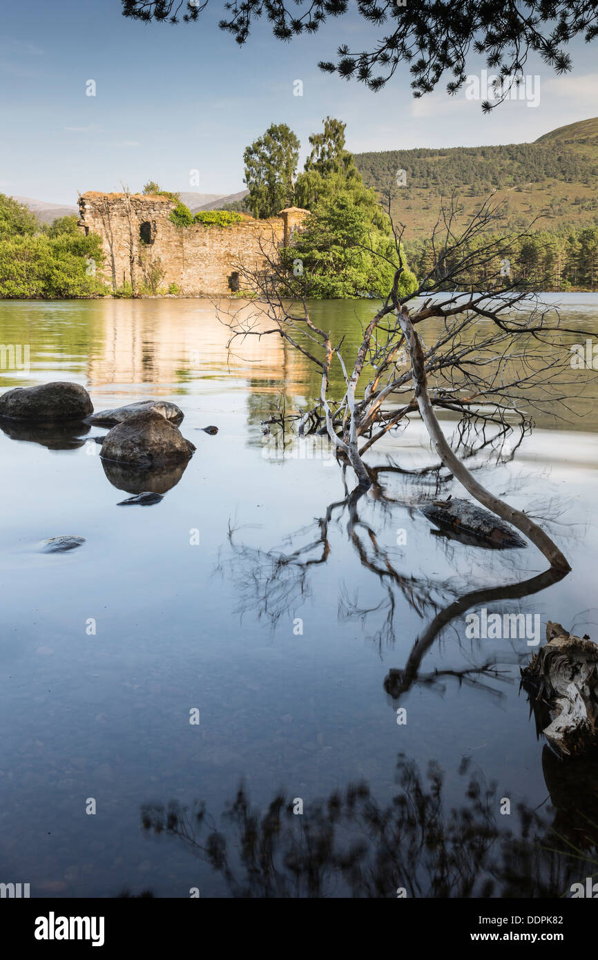 Castle ruins at Loch an Eilein at Rothiemurchus at Aviemore in Scotland Stock Photo Alamy