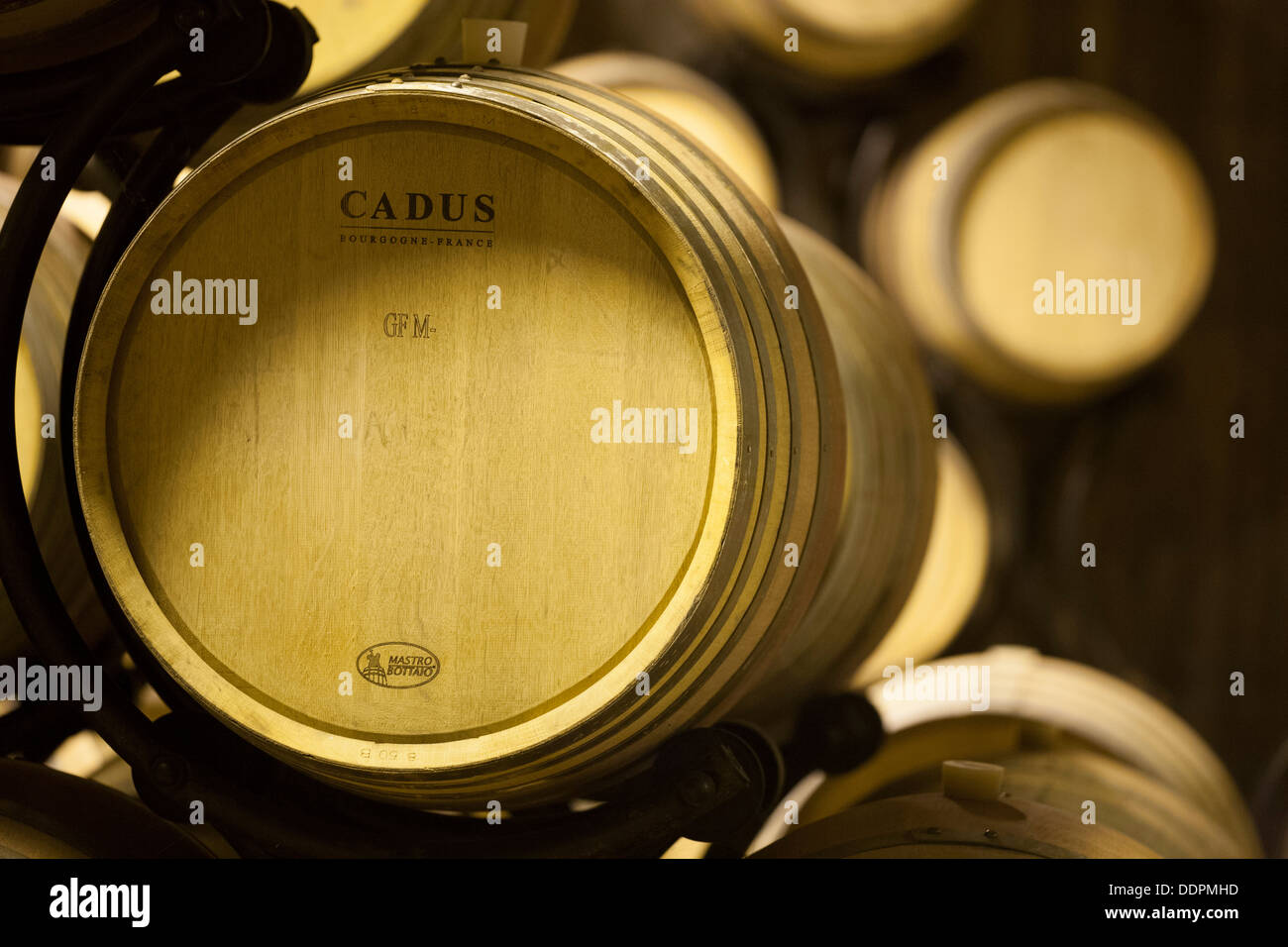 french wine barrells in vineyard italy Stock Photo