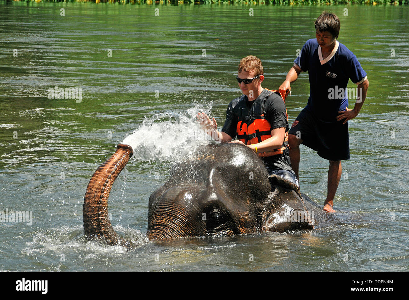 Elephant back ride hi-res stock photography and images - Alamy
