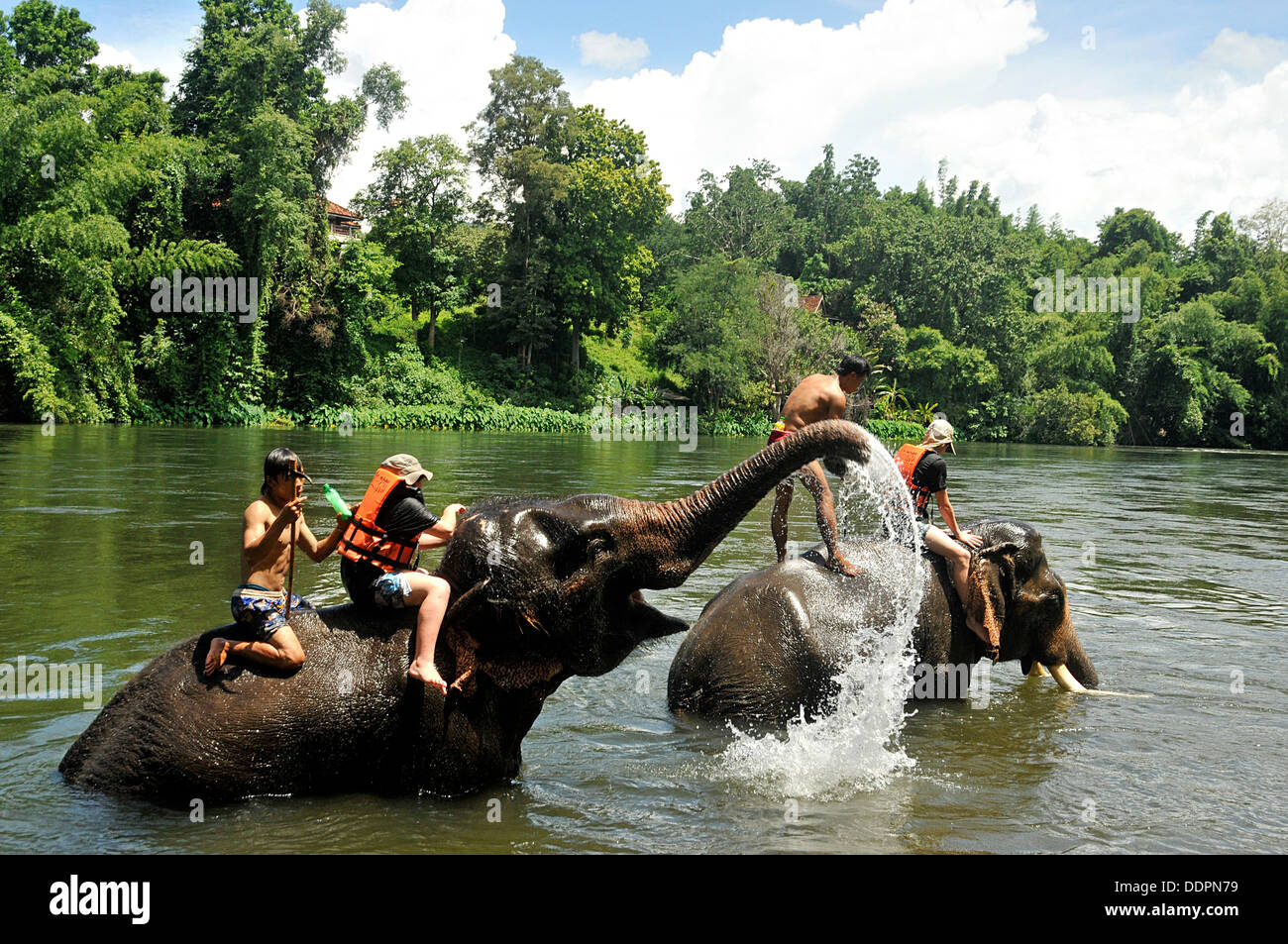 Elephant back ride hi-res stock photography and images - Alamy
