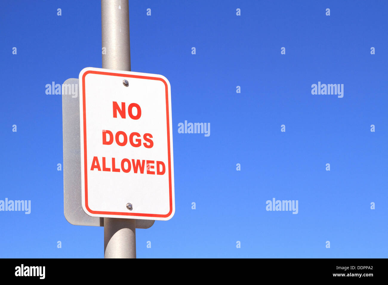 No dogs allowed sign. Point Pleasant Beach, New Jersey, USA Stock Photo