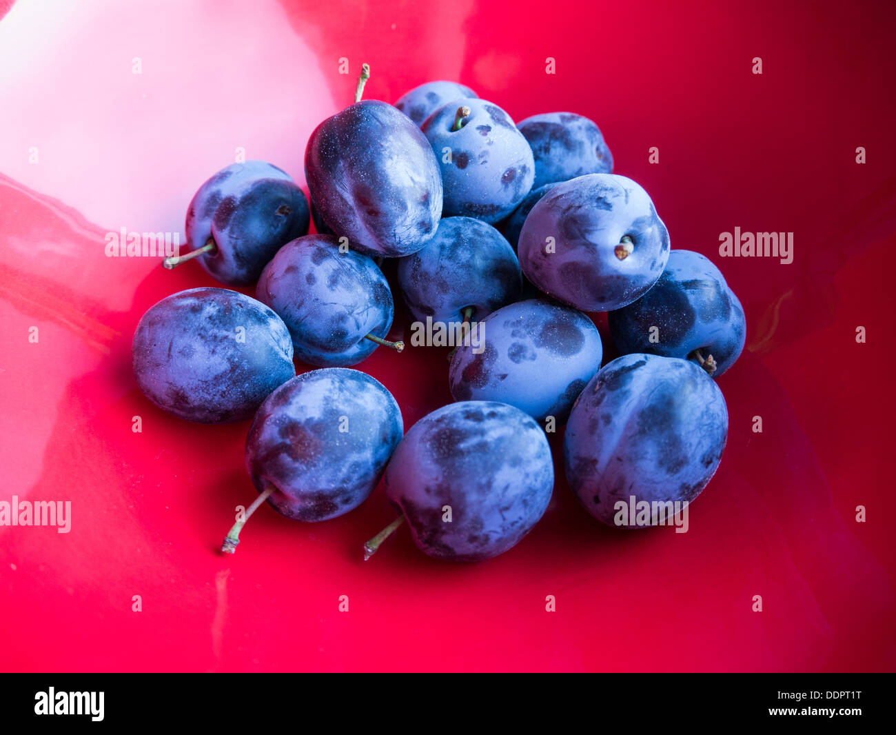 Fresh purple plums in a red bowl Stock Photo