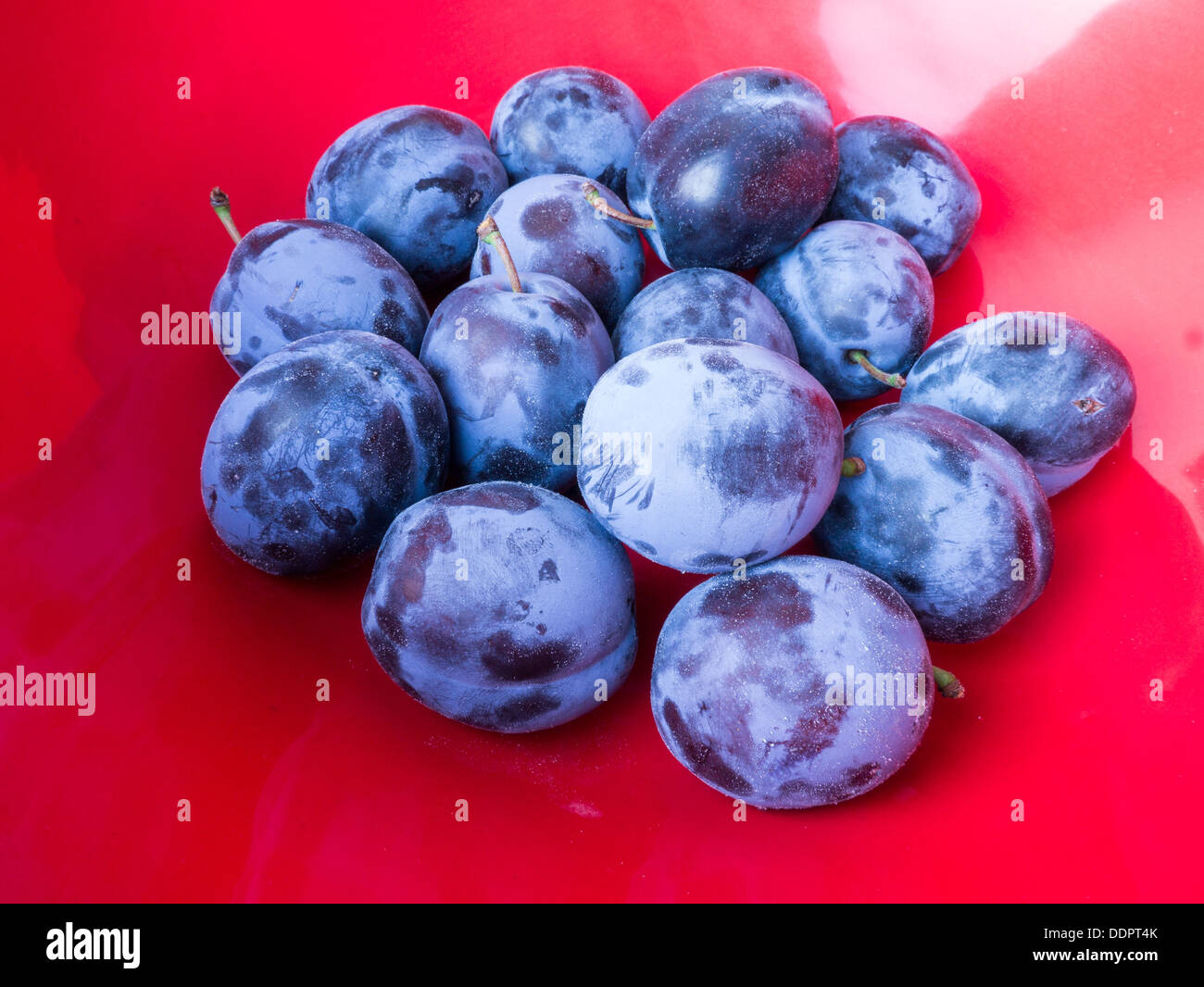 Fresh purple plums in a red bowl Stock Photo