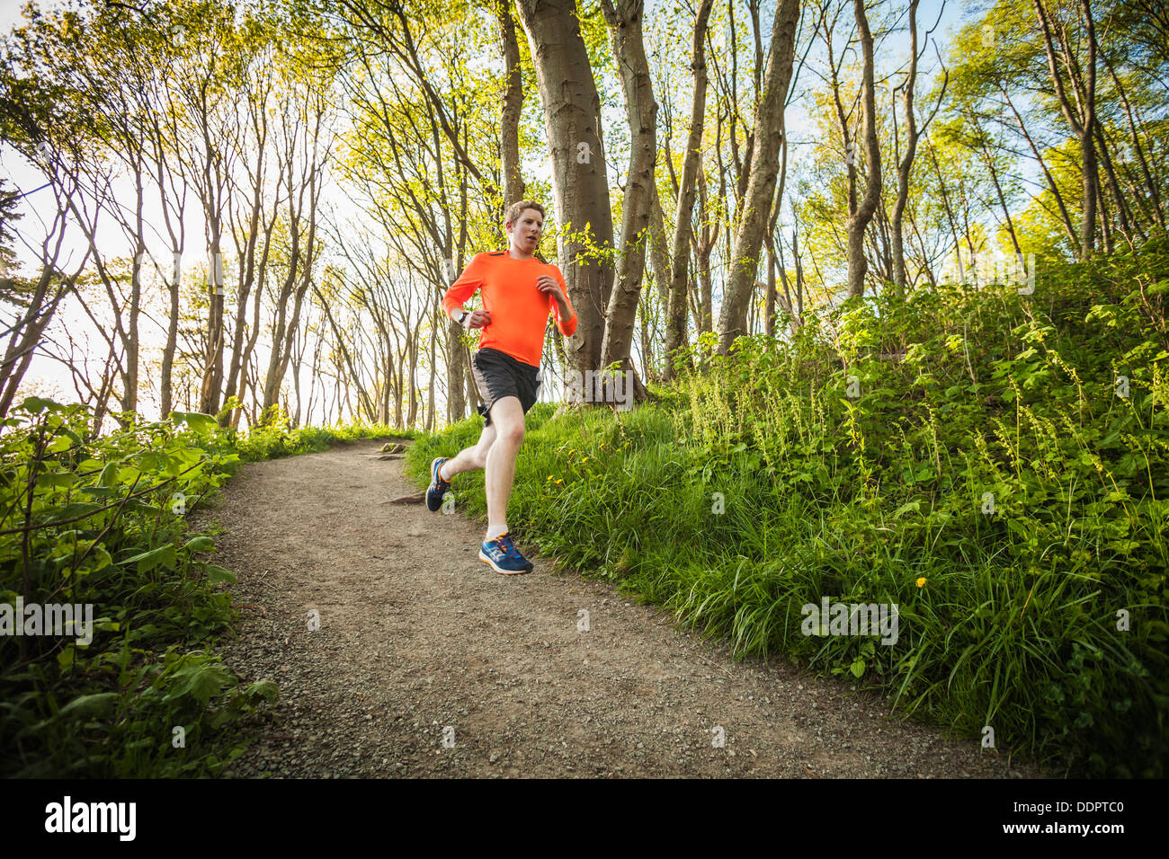 A young man running on a trail through the forest in Discovery Park, Seattle, Washington, USA. Stock Photo