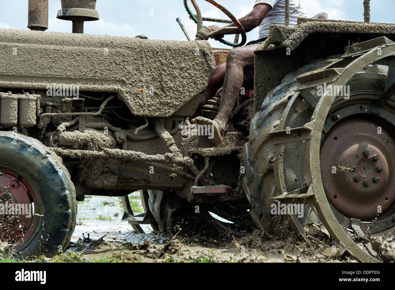 Indian man ploughing a rice paddy field with a tractor. Andhra Pradesh, India Stock Photo