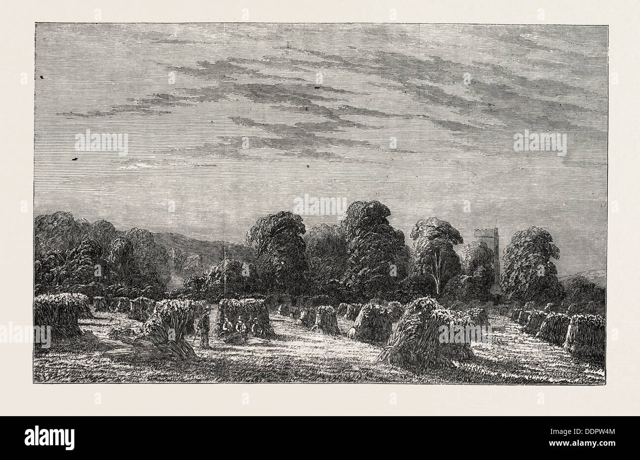 EXHIBITION OF MODERN BRITISH ART: A CORN FIELD: EVENING. PAINTED BY C. DAVIDSON, 1851 engraving Stock Photo