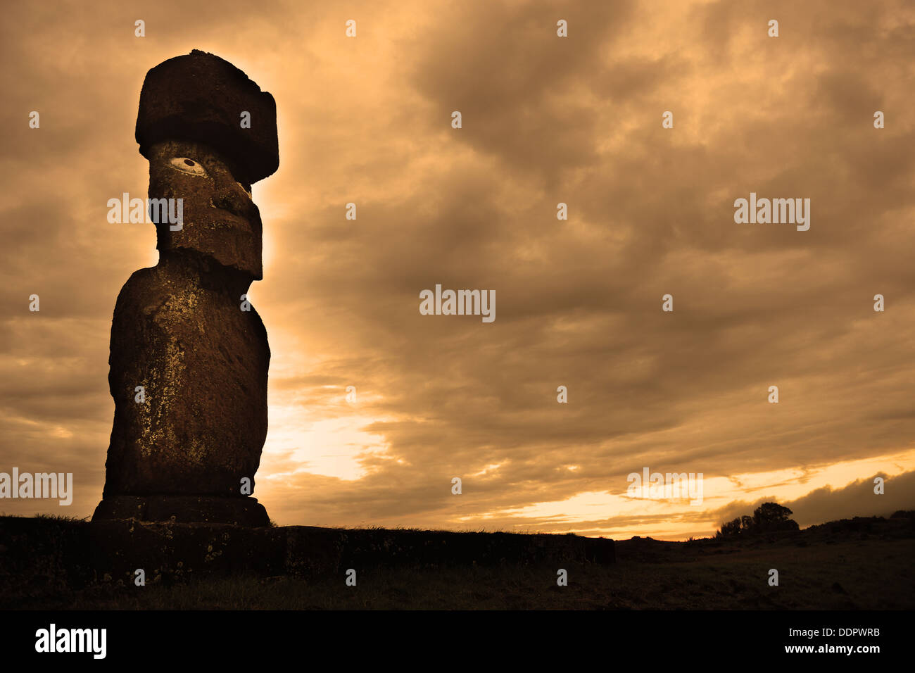 Moai monolithic human figures carved by the Rapa Nui on Easter Island Stock Photo