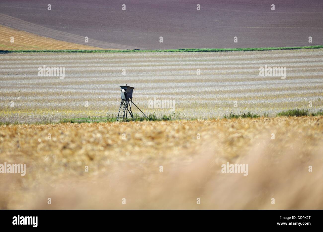 Netze, Germany. 05th Sep, 2013. The harvested and brown fields imply the upcoming autumn in Netze, Germany, 05 September 2013. Photo: Uwe Zucchi/dpa/Alamy Live News Stock Photo