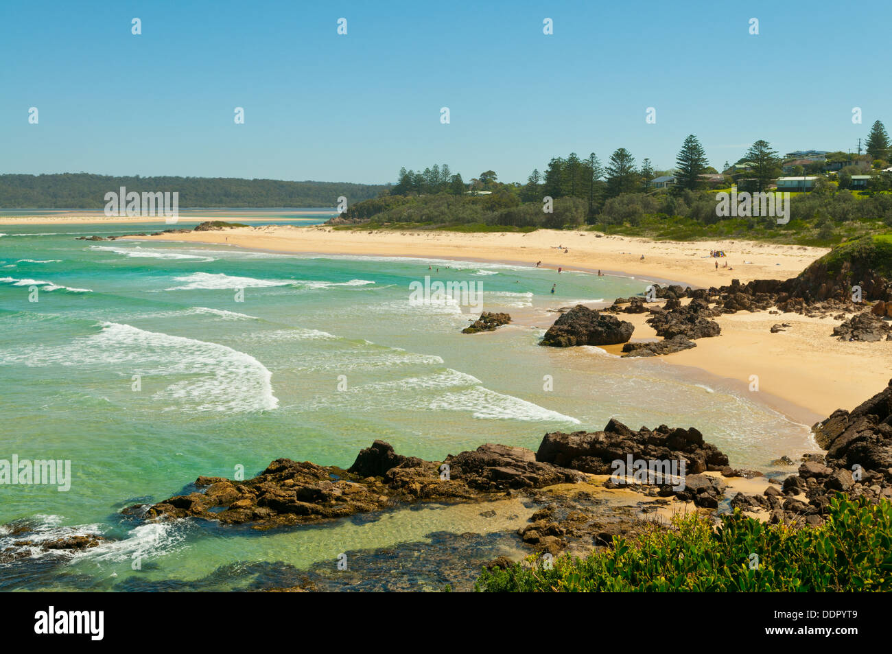 Tuross head