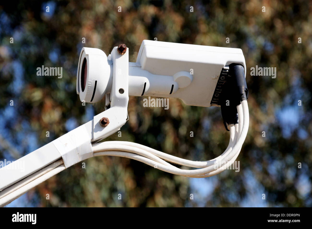 Four way LNB Antenna for Satellite TV, Costa del Sol, Andalucia, Spain, Western Europe. Stock Photo