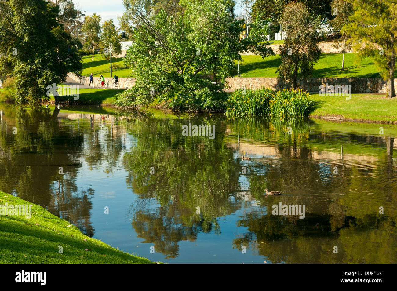 Torrens River, Adelaide, South Australia, Australia Stock Photo