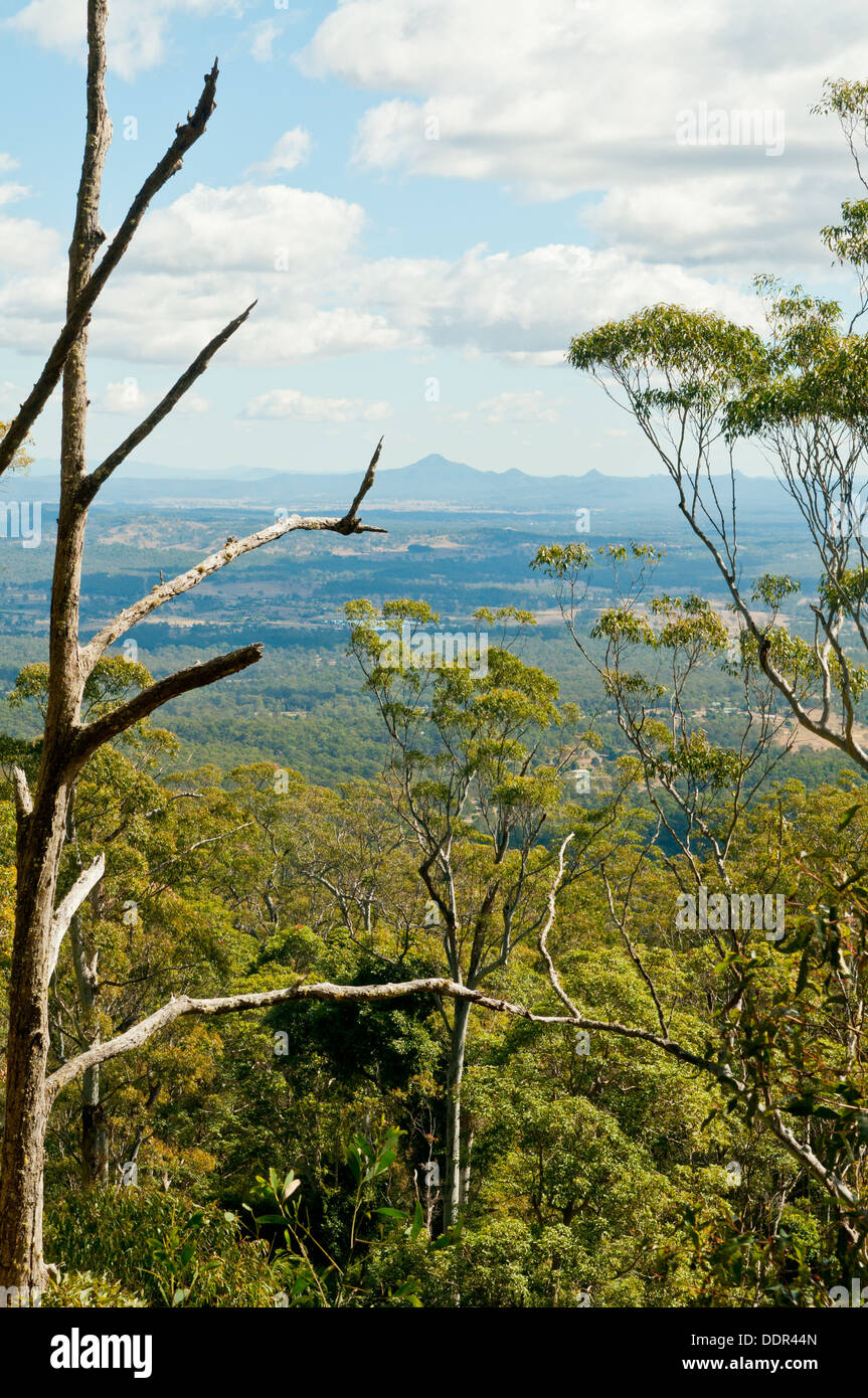 View from the Knoll, Mt Tamborine, Queensland, Australia Stock Photo Alamy