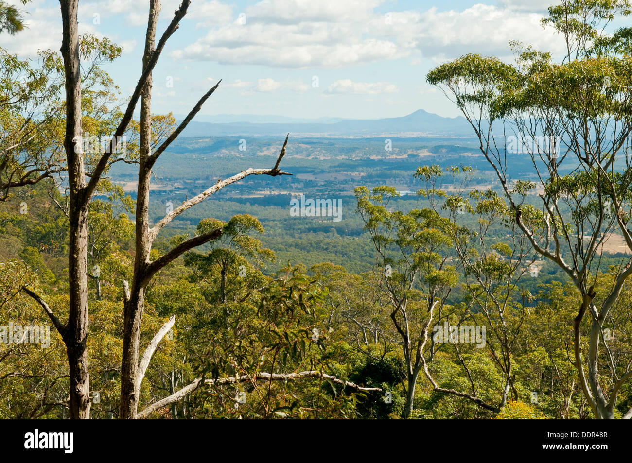 View from the Knoll, Mt Tamborine, Queensland, Australia Stock Photo