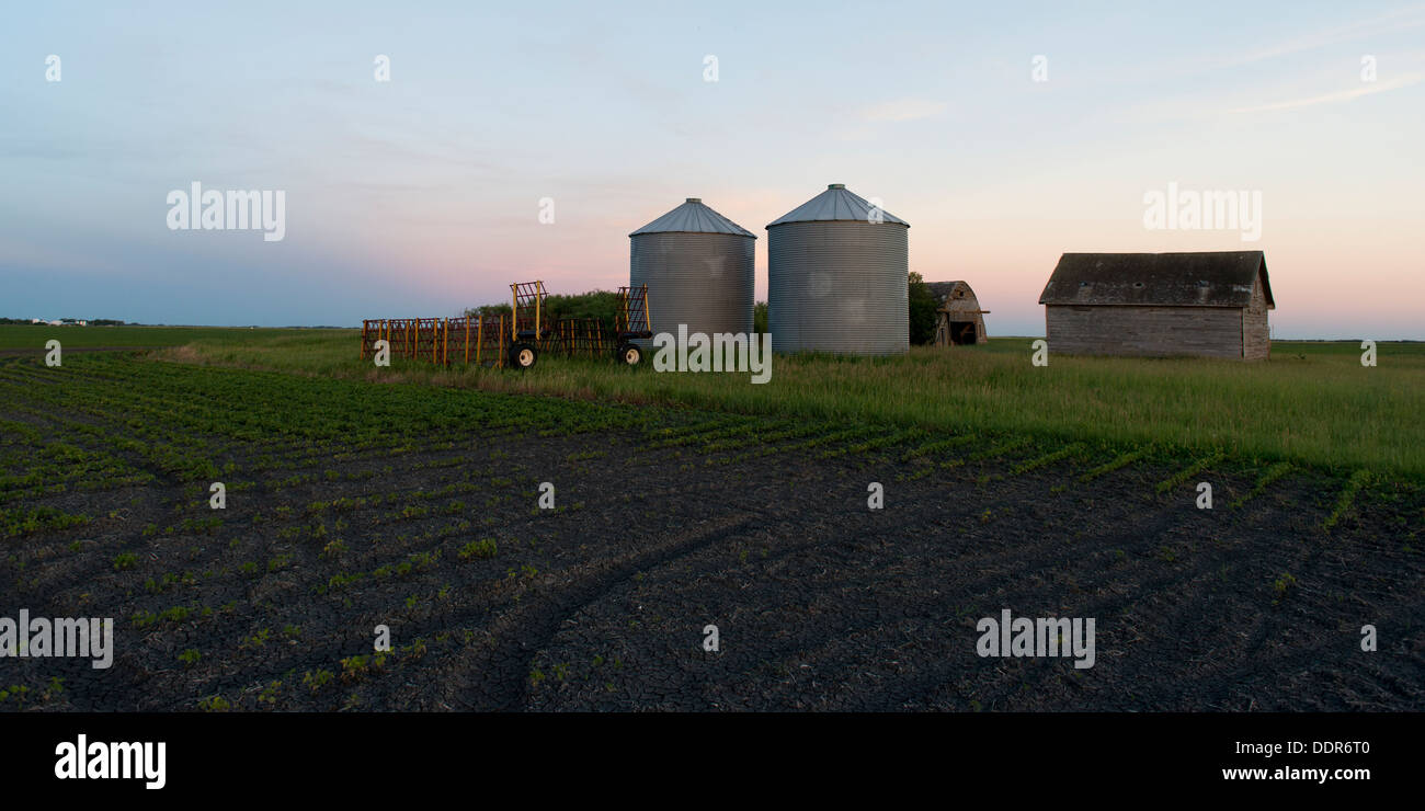 Silo and barn in a prairie field, Manitoba, Canada Stock Photo