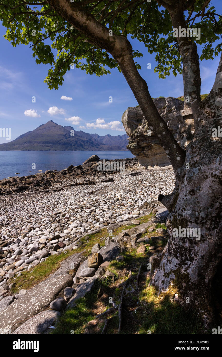 Elgol beach with Sea Loch Scavaig and Black Cuillin Mountains beyond, Isle of Skye Scotland, UK Stock Photo