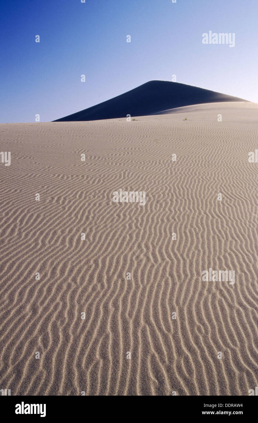 Windblown waves texture gives an interesting design to an otherwise baen landscape at Bruneau