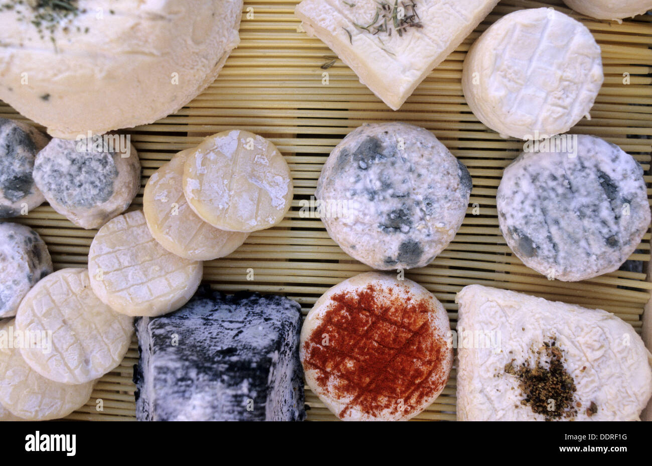 Goat´s milk cheese. Provence. France Stock Photo Alamy