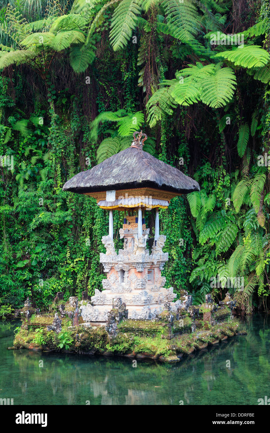 Indonesia, Bali, the Holy Springs at Pura Gunung Kawi Sebatu Temple Stock Photo
