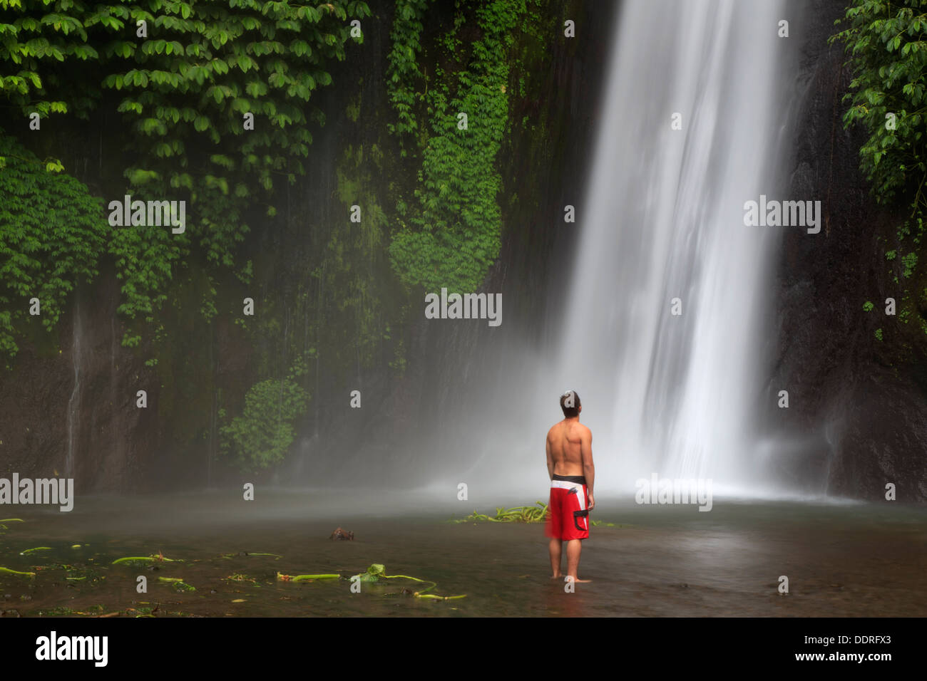 Indonesia, Bali, Central Mountains, Munduk, Waterfall Stock Photo