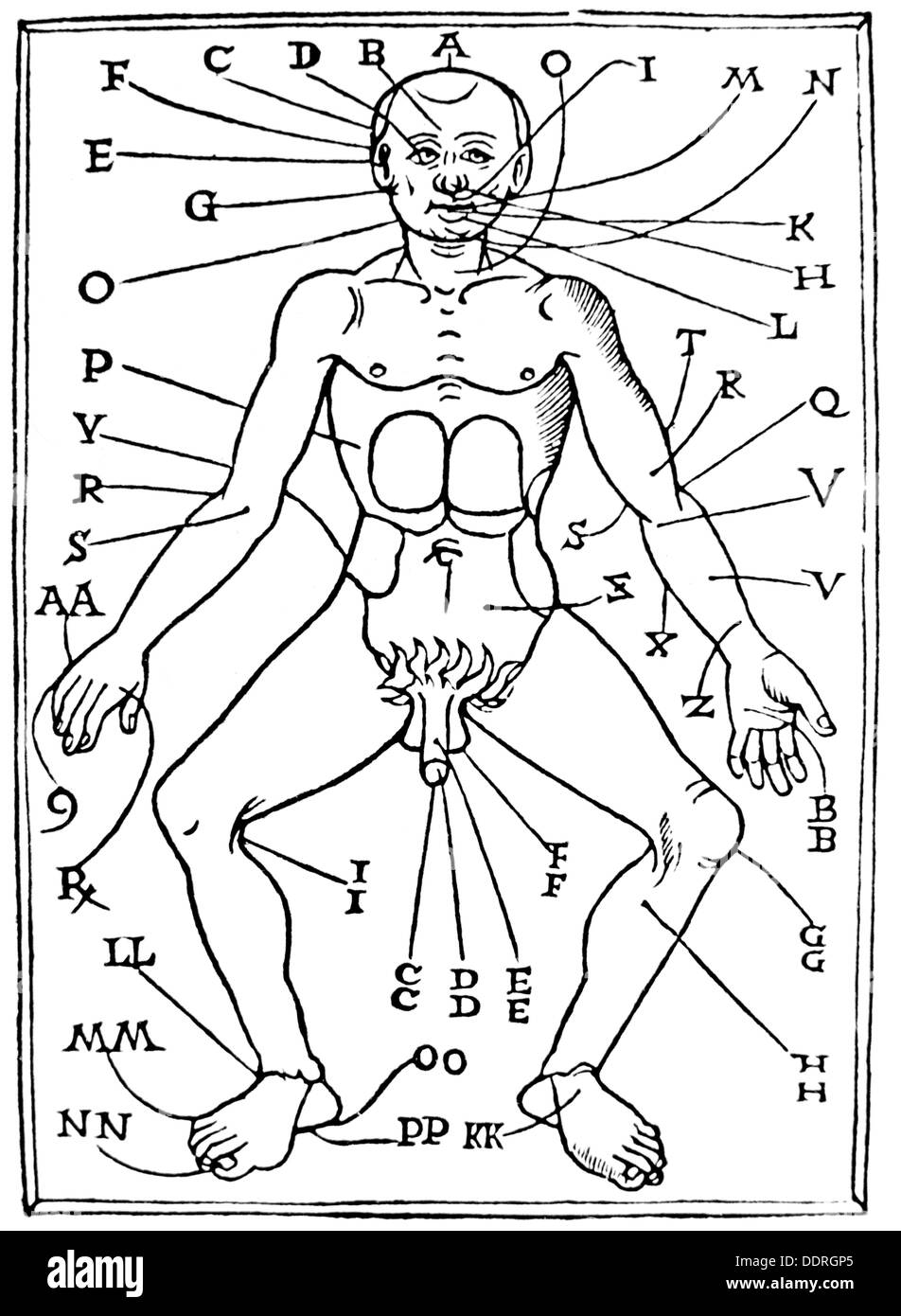 medicine, treatment, bloodletting / venesection, points for