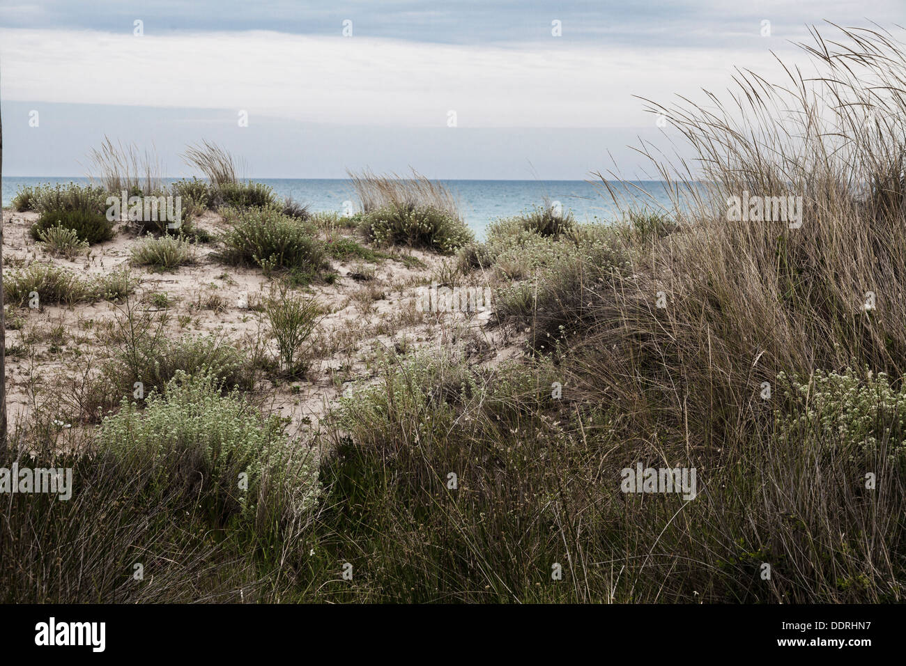 sand dunes on a cool overcast day Stock Photo