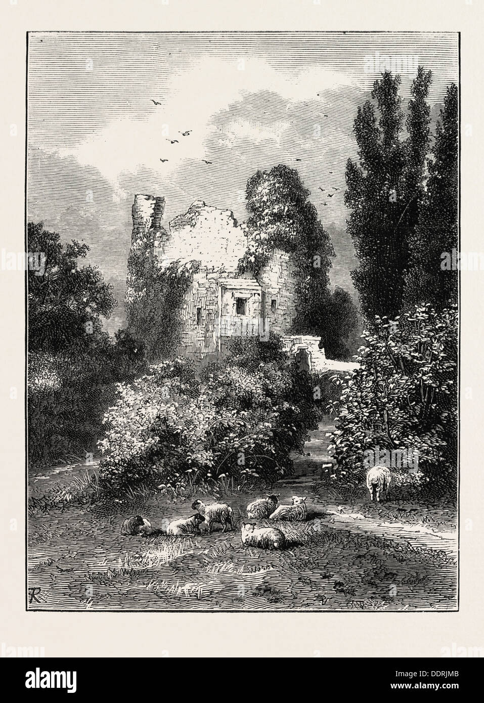 REMAINS OF ANCIENT CASTLE, HAWARDEN PARK, WALES, UK Stock Photo Alamy