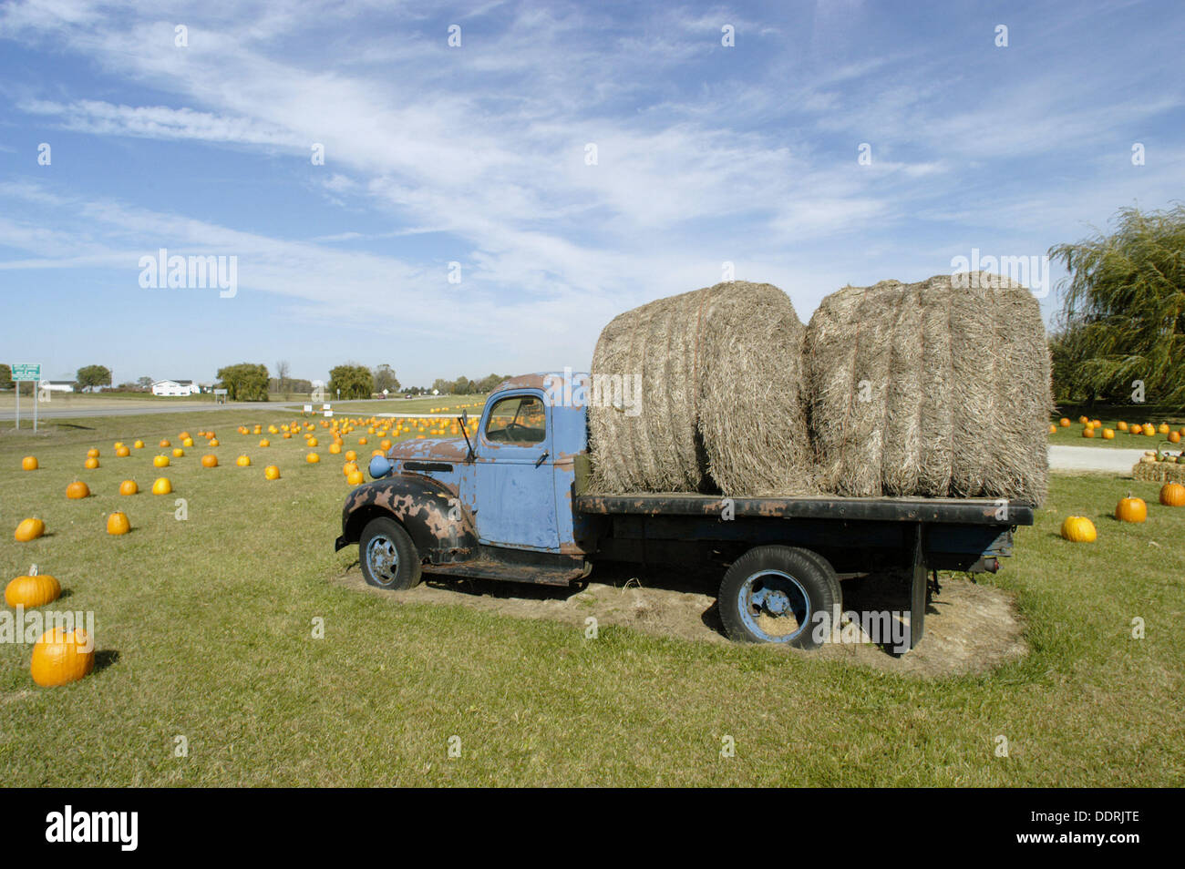 Old farm truck with hay on back blue Stock Photo Alamy