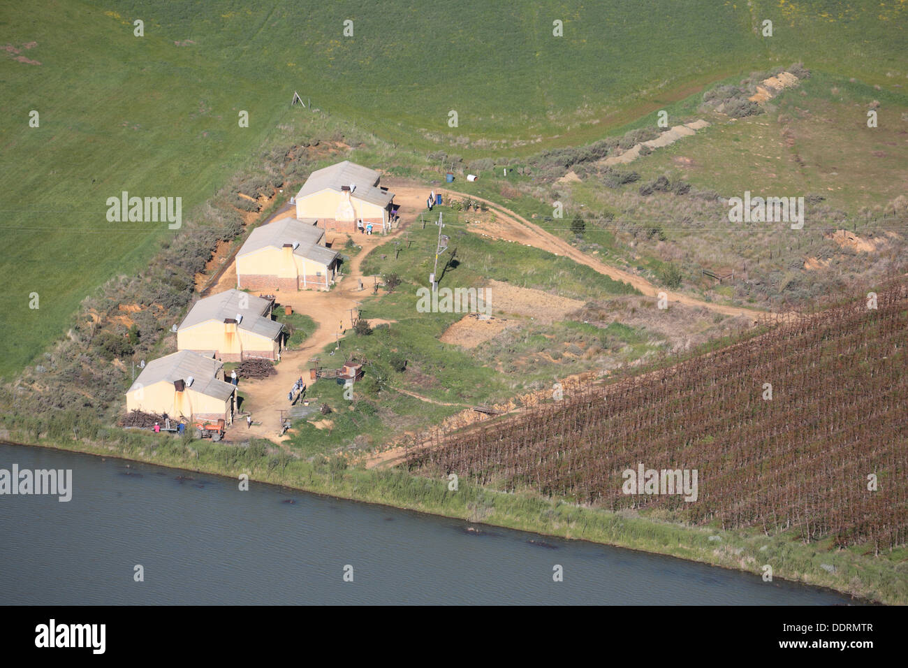Aerial view of farm houses for farm labourers in the Ceres area