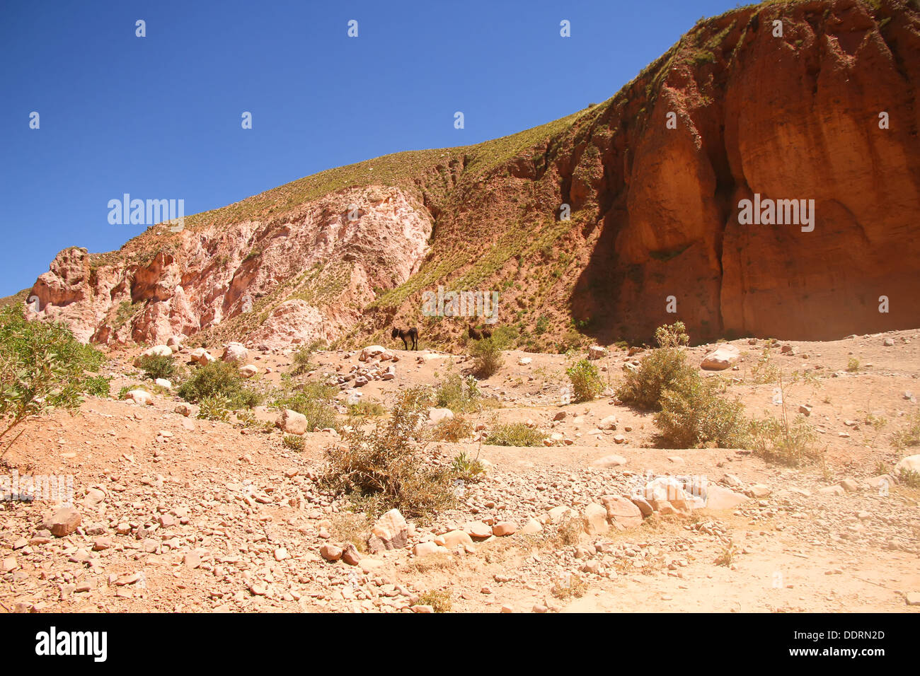 Landscape In The Heights Of Jujuy Argentina South America Stock Photo landscape-in-the-heights-of-jujuy-argentina-south-america-stock-photo