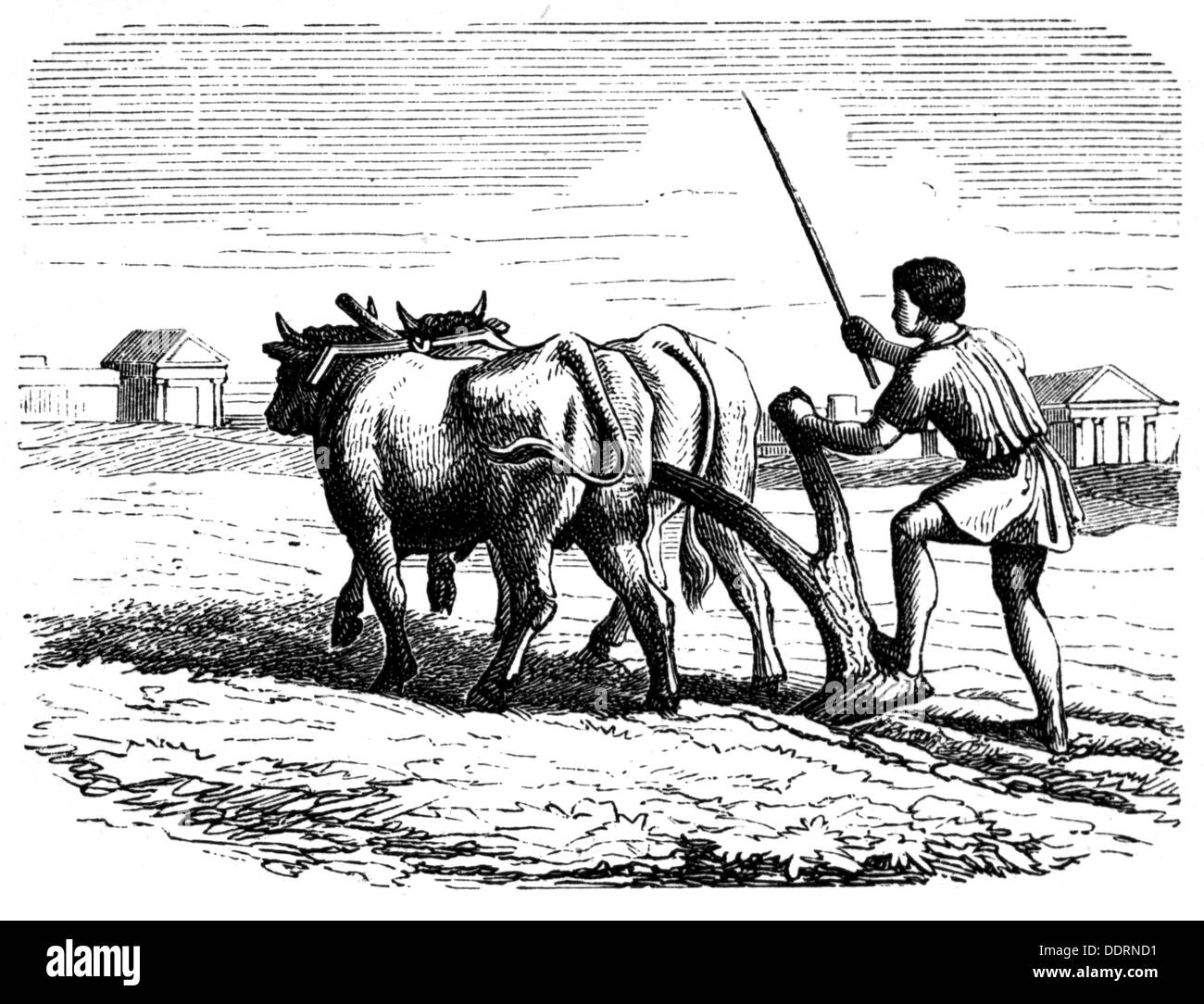 agriculture, agricultural work, plowing, Roman farmer with plough, circa 700 BC, wood engraving, 19th century, Roman, Romans, Italy, ancient world, ancient times, people, men, man, tillage, tilth, arable farming, draught animal, draught animals, working animal, work animal, working animals, ox, oxen, hook plough, field, fields, Rome, agriculture, farming, agricultural work, farm labour, farm labor, farmer, farmers, plough, plow, ploughs, plows, historic, historical, ancient world, male, Additional-Rights-Clearences-Not Available Stock Photo