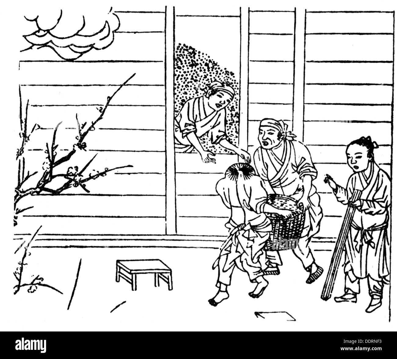 agriculture, rice growing, storing the rice in a hut, wood engraving after Japanese illustration, 19th century, Japan, storage, storages, stores, deposit, deposits, stock of provisions, stock, supply, Japanese, rice farmer, farmer, farmers, people, men, man, working, agricultural work, farm labour, farm labor, Asia, food, foodstuff, agriculture, farming, store, storing, hut, huts, historic, historical, Additional-Rights-Clearences-Not Available Stock Photo