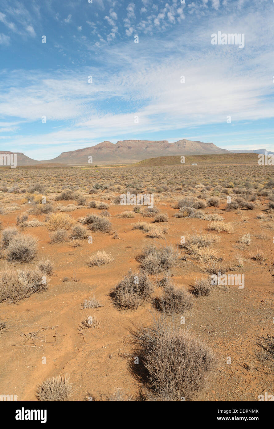 Sparse vegetation with mountains in the background in the Karroo region, Northern Cape Province, South Africa Stock Photo