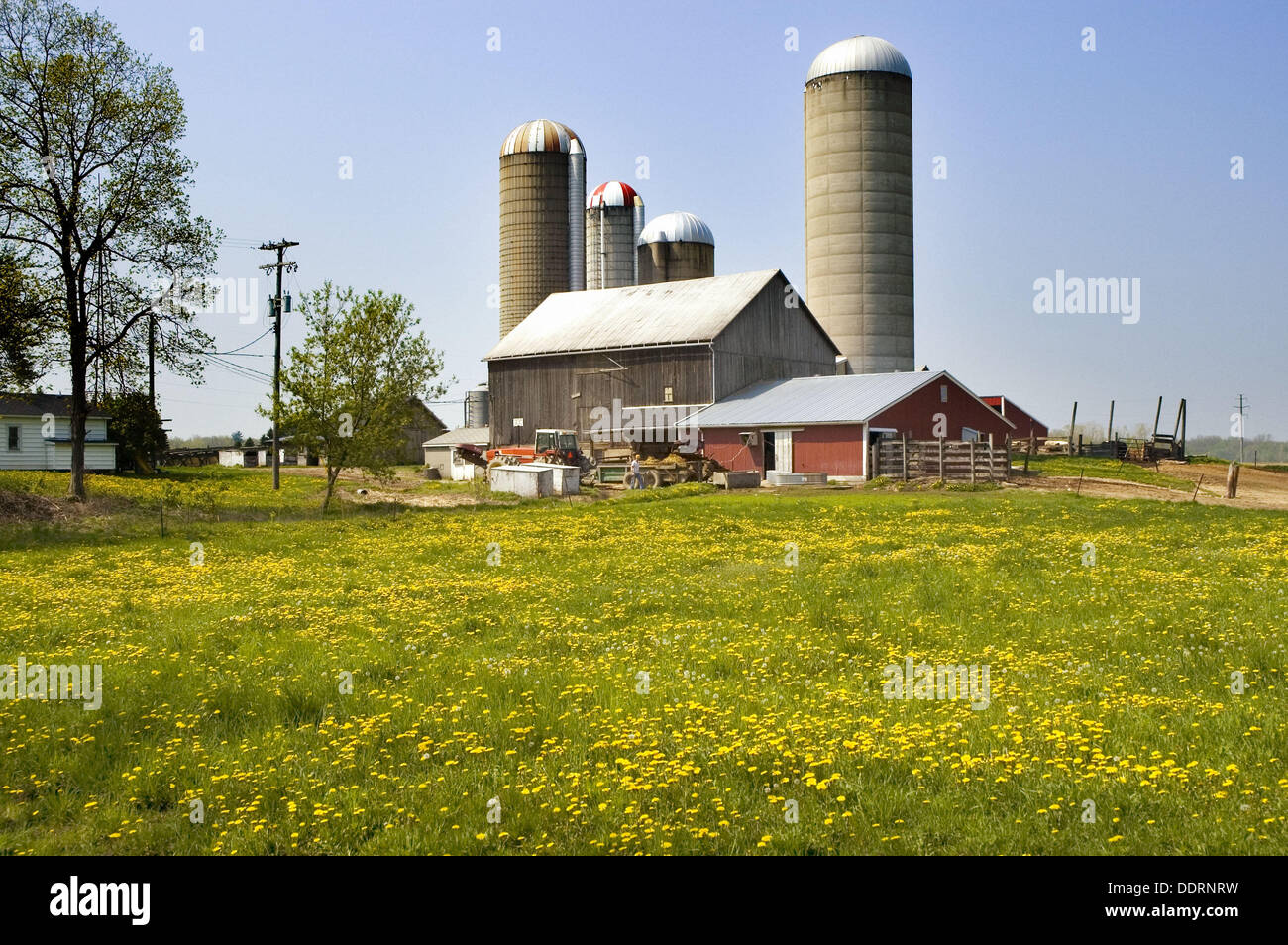 Midwest dairy cattle hires stock photography and images Alamy