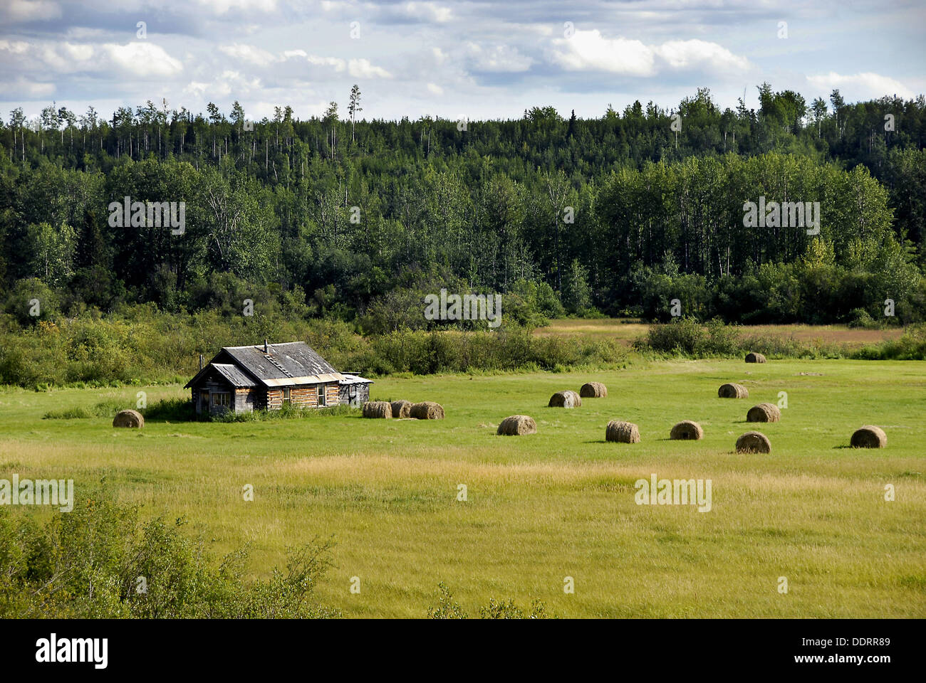 Farm Farmland along Highway 16 near Smithers British Columbia BC Canada
