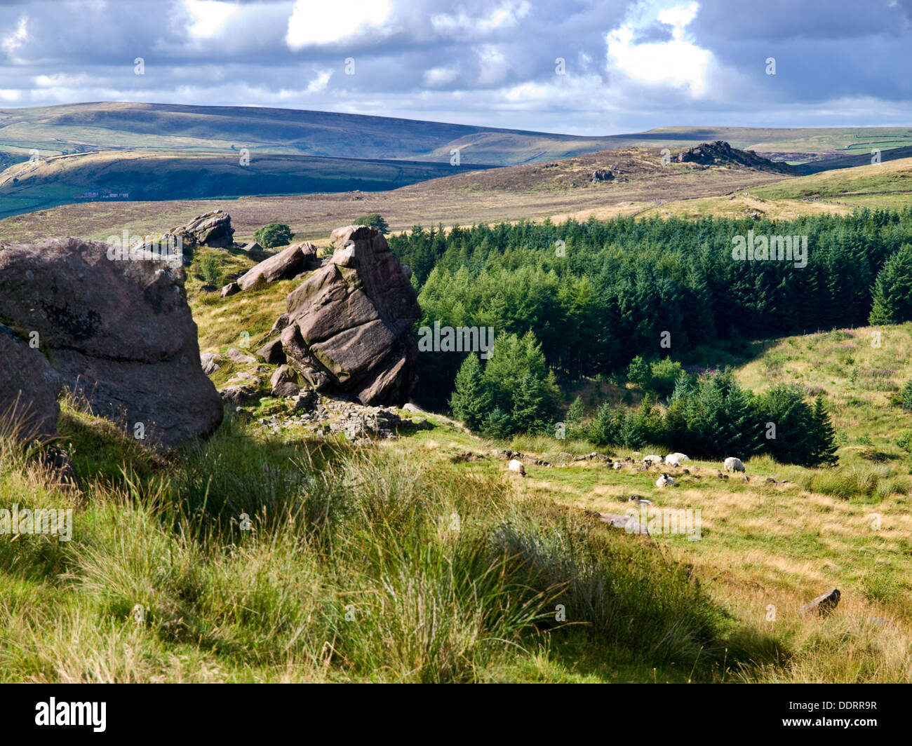 Gritstone outcrops at Baldstones in the Staffordshire Moorlands,Peak District National Park. Axe Edge in the distance Stock Photo