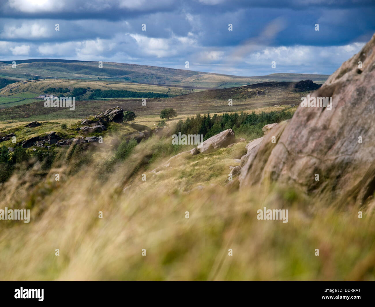 Gritstone outcrops at Baldstones in the Staffordshire Moorlands,Peak District National Park. Axe Edge in the distance Stock Photo