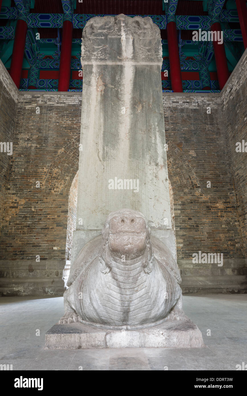 Turtle stele hi-res stock photography and images - Alamy
