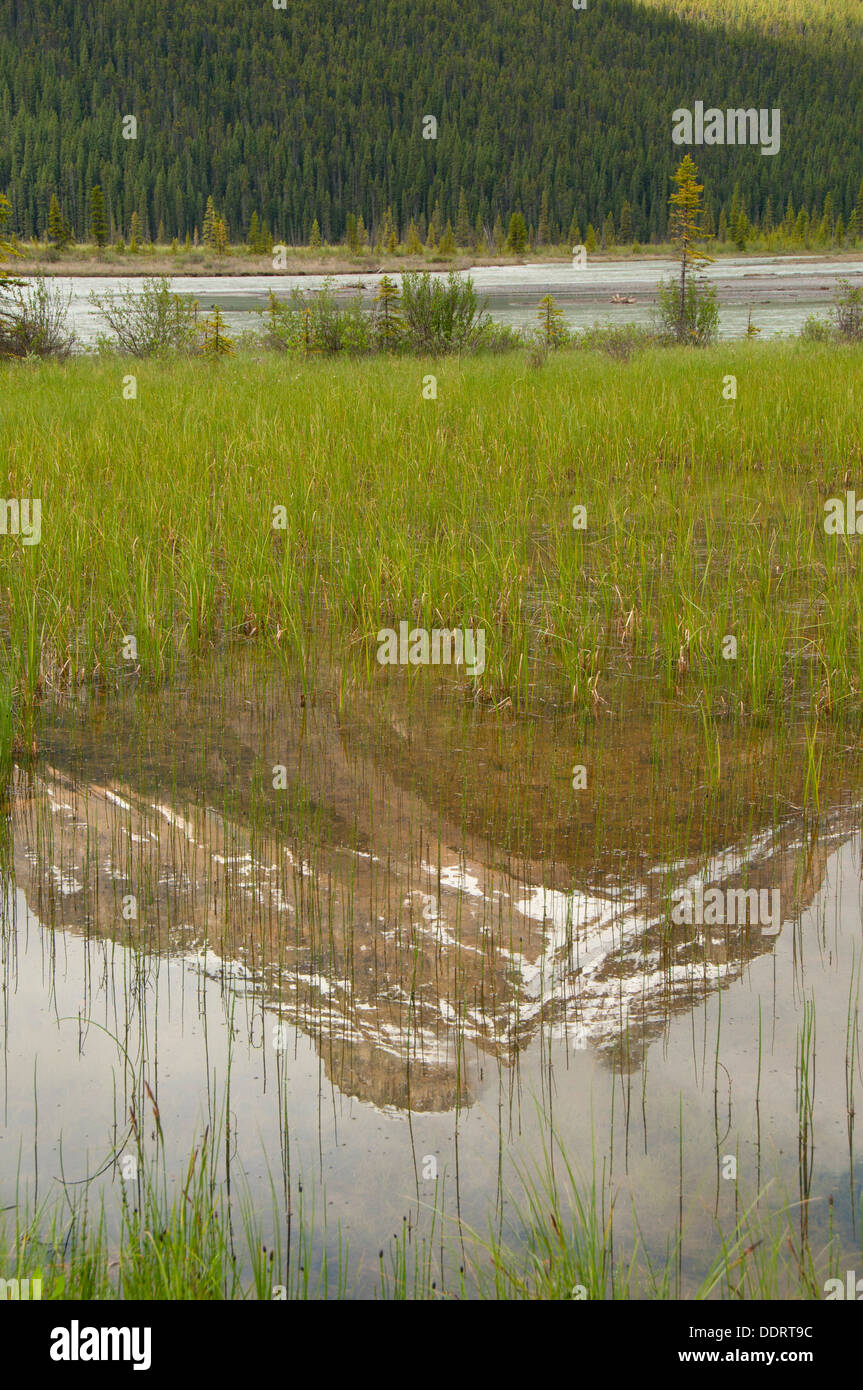 Mount Amery reflection, Banff National Park, Alberta, Canada Stock
