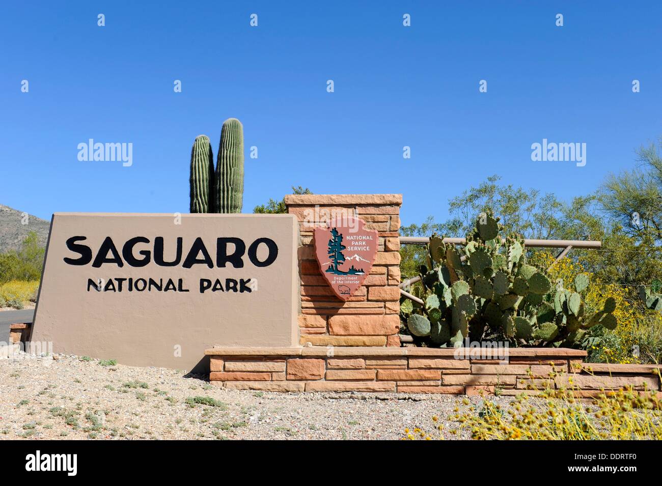 Saguaro National Park Tucson Arizona Stock Photo Alamy