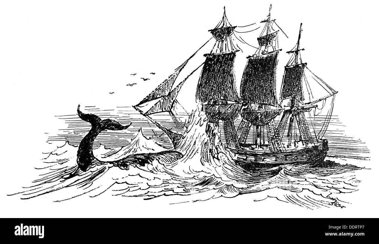 fishing, whaling, whale attacking whaling ship, drawing, from: 'Münchner Merkur', Munich, 28. / 29.3.1964, Additional-Rights-Clearences-Not Available Stock Photo