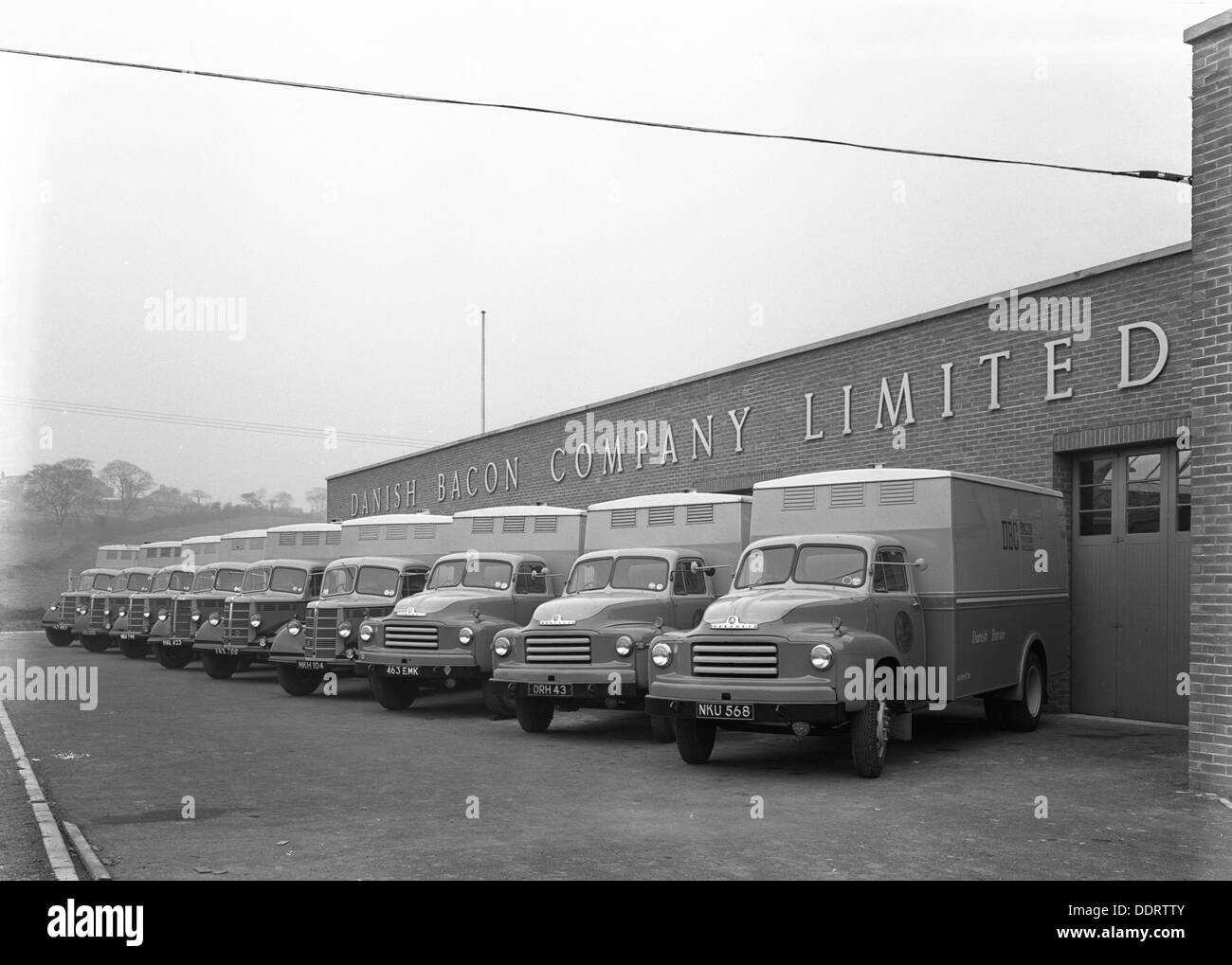Bedford delivery lorries at the Danish Bacon Co, Kilnhurst, South