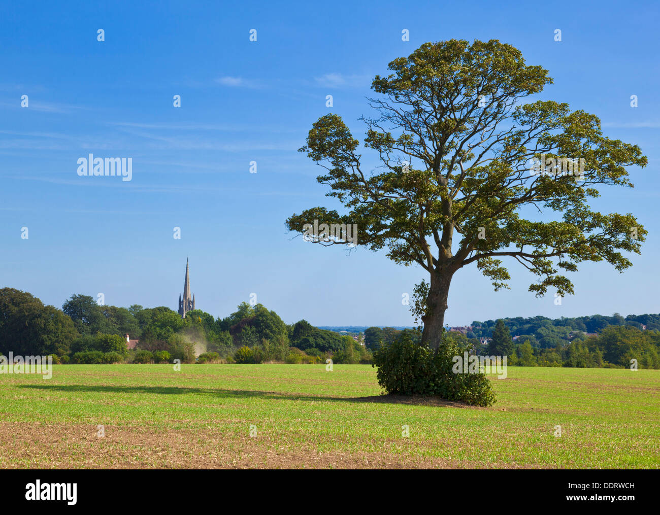 View of Louth church spire in the distance Lincolnshire wolds England UK GB EU Europe Stock Photo