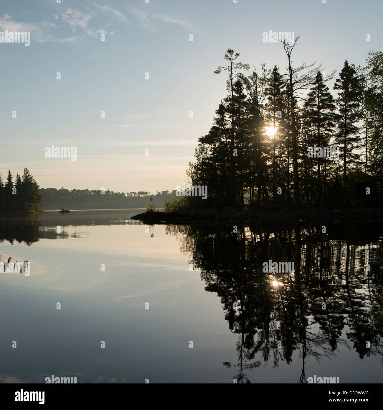 Reflection of trees in a lake, Lake of The Woods, Ontario, Canada Stock