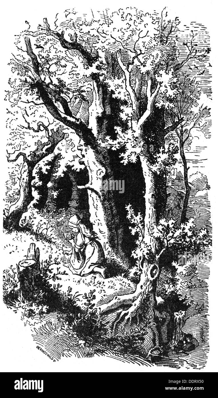 literature, fairy tales, Grimm Brothers, 'Little Red Riding Hood', Little Red Riding Hood picking flowers, after drawing by Ludwig Richter (1803 - 1884), wood engraving, 19th century, Additional-Rights-Clearences-Not Available Stock Photo