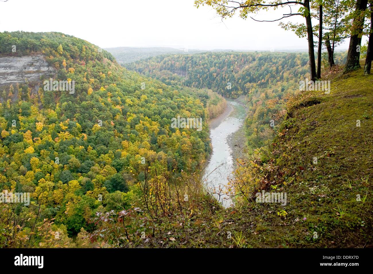 Letchworth State Park Archery Field Overlook Western New York Stock Photo Alamy