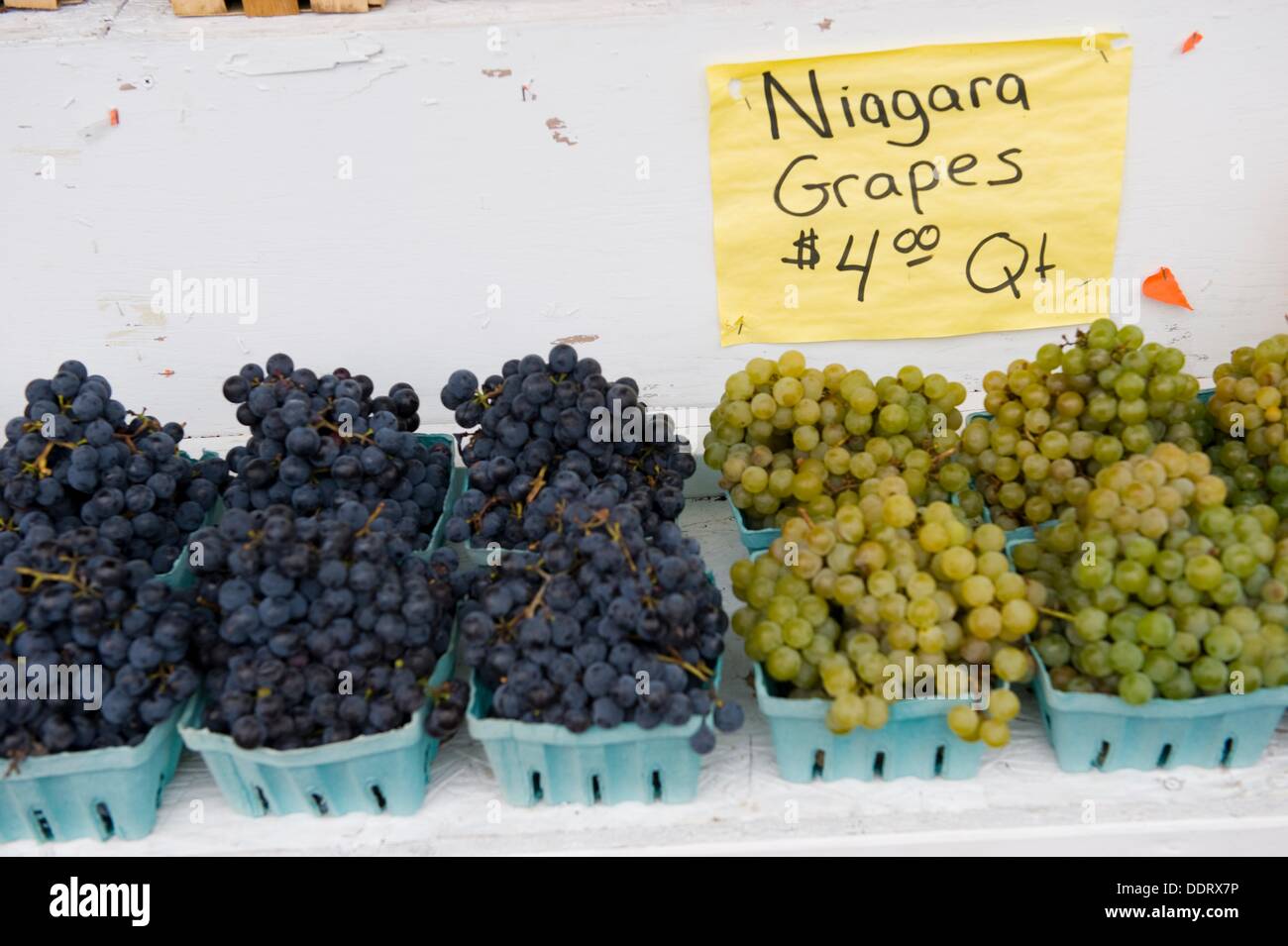 Grapes for sale at Roadside Stand in Finger Lakes Region New York Stock