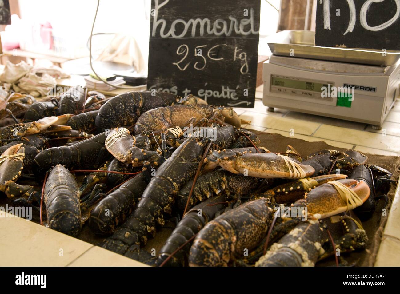 Fresh lobsters on a market in Normandy, France Stock Photo Alamy