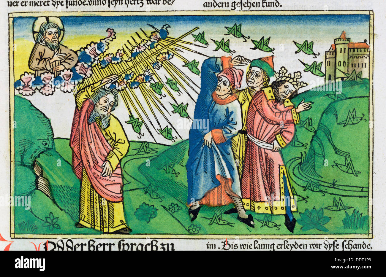 Locust plague man hires stock photography and images Alamy